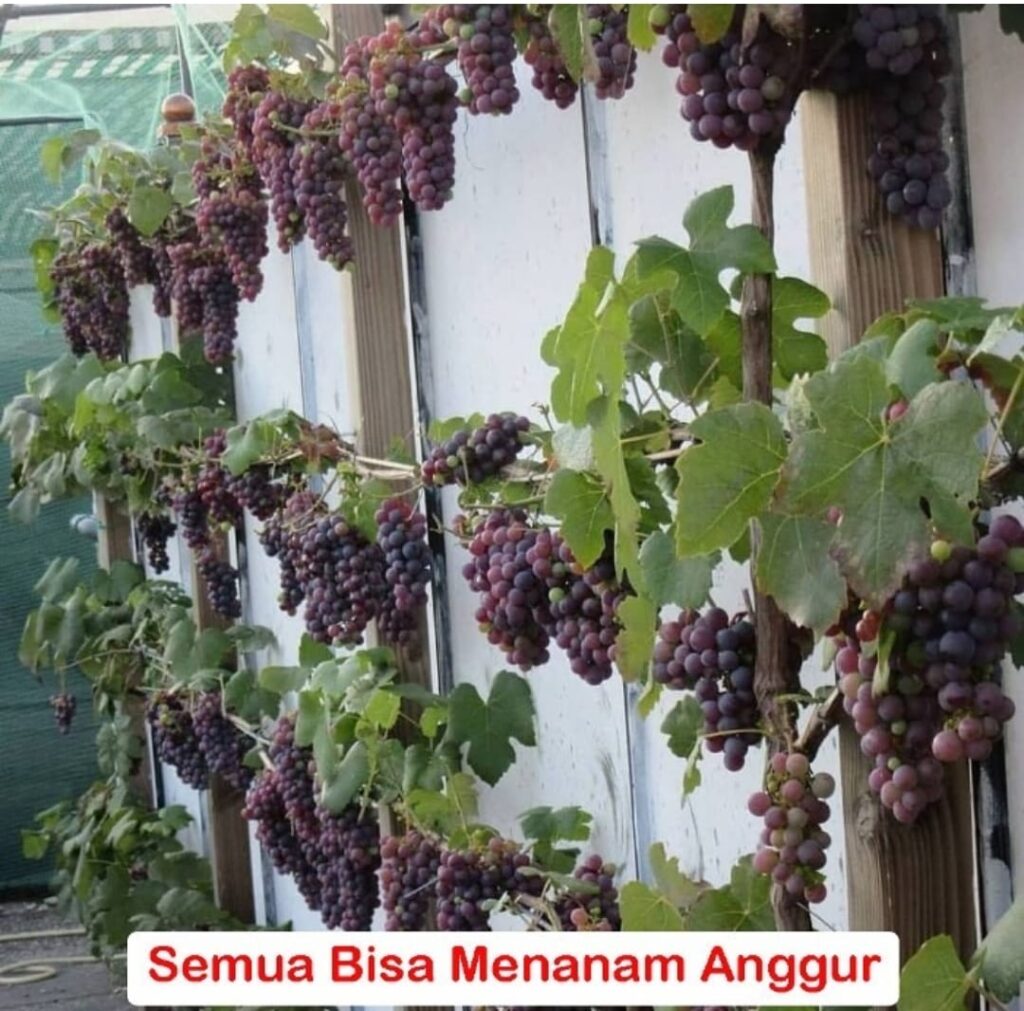 WhatsApp Image 2025-11-28 at 10.42.56 (3)