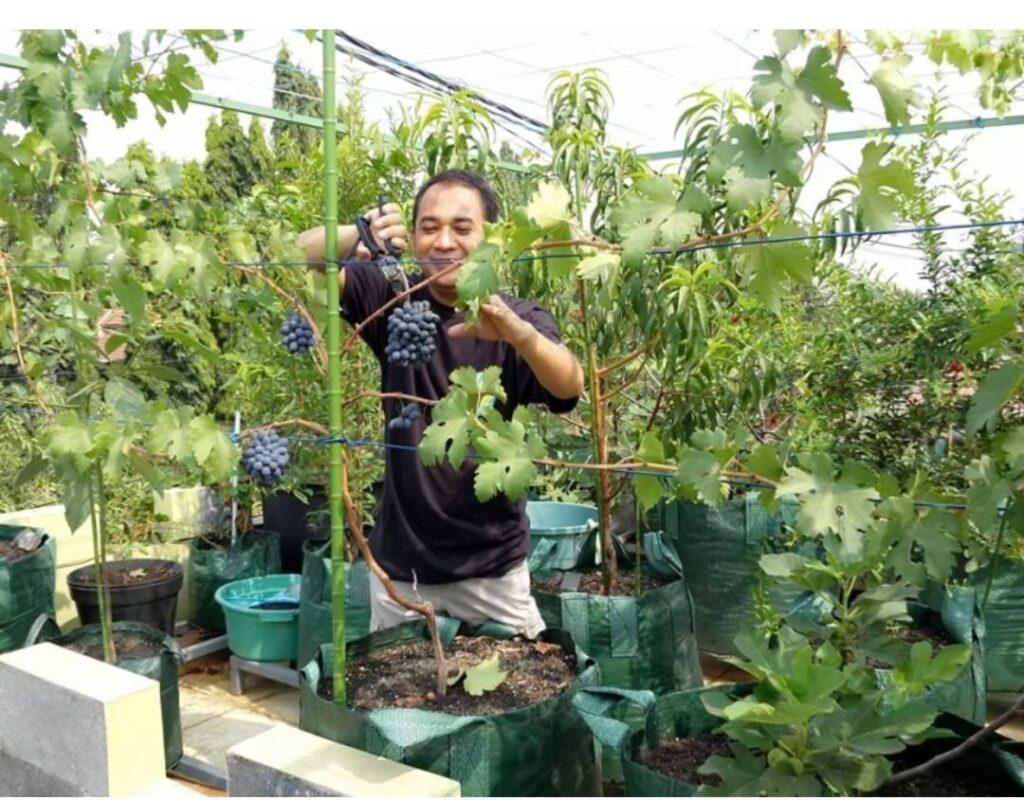 WhatsApp Image 2025-11-28 at 10.42.57 (1)