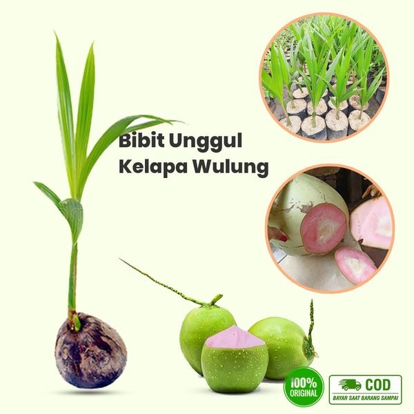 WhatsApp Image 2025-12-06 at 12.23.45 (2)