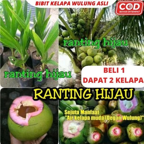 WhatsApp Image 2025-12-06 at 12.23.45